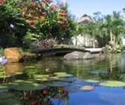 Royale Takitumu Villas Rarotonga