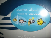 Вот такие знаки рассказывали, чего не стоит делать возле аквариумов.