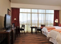 Dreams Araucania