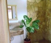 Casa De Olas