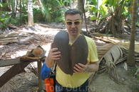 А вот и настоящая скорлупка от коко-де-мер. Средний вес такого ореха около 20 кг. Скорлупа весит немного меньше.