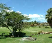 The Woods at Palmas del Mar