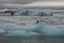 Самый большой ледник Европы - Ватнайёкюдль, место, где рождаются Айсберги 