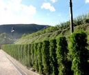 Фото Gyerdan