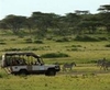 Фотография отеля Lemala Ndutu Tented Camp Serengeti