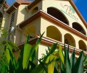 The Palms