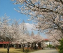 Фото Gallery Hotel Daejeon