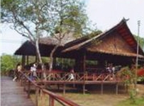 Bilit Rainforest Lodge