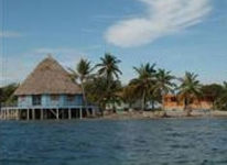 Blackbird Caye Resort