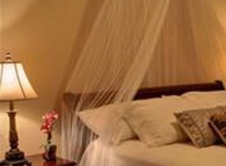 Casa Isabella Costa Rica B & B