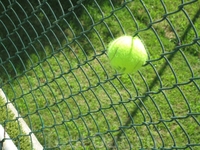 тенис