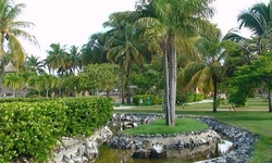 Arenas Doradas Arenas Doradas