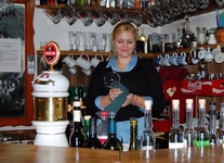 Domačija Novak Domačija Novak