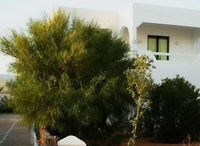 Фото отеля Les Villas de Djerba Фото отеля Les Villas de Djerba