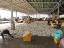 Рыбный рынок Чагальчхи