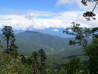 Перевал Дочула.Высота 3150 м  .Бутан.