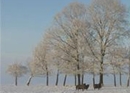 Фото B&B Buitenplaats Natuurlijk Goed