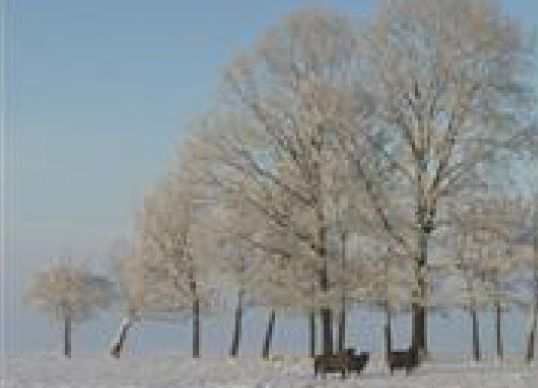 B&B Buitenplaats Natuurlijk Goed