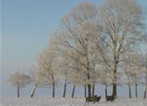 B&B Buitenplaats Natuurlijk Goed