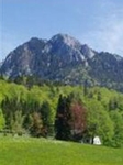 Alpenrose Pension Fuschl am See