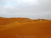 Обычно тускло-желтые пески пустыни переливались невероятными оттенками рыжины, а подсыхающие участки наливались желтизной