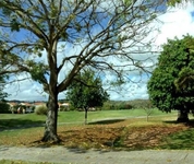 Palmas Plantation at Palmas del Mar