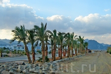 Это можно увидеть из окна машины , направляясь в Шарм эль Шейх.