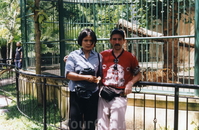 В зоопарке Бали - год Тигра