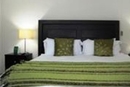 Фото Hotel Contempo