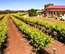 Фото Barossa Shiraz Estate