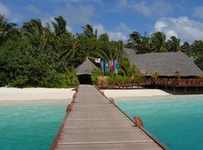 Vilu Reef Beach & Spa Resort