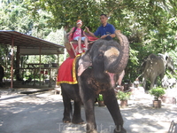 Катание на слонах - 150 бат(слоник вам будет позировать).