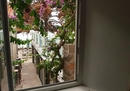 Фото Villa Dragovic