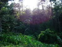 после полуденный зной