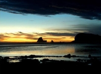 Buena Vista Surf Club