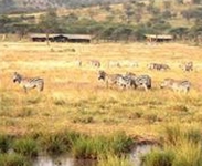 Lemala Ewanjan