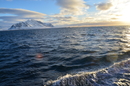 вдоль побережья Свальбарда