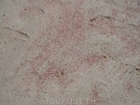 и пляж с розовым песком