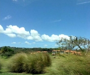 The Woods at Palmas del Mar