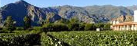 Cafayate Wine Resort Cafayate Wine Resort