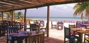 Фото Divi Aruba Phoenix Beach Resort