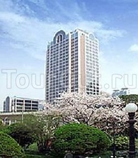 Фото отеля Equatorial Shanghai