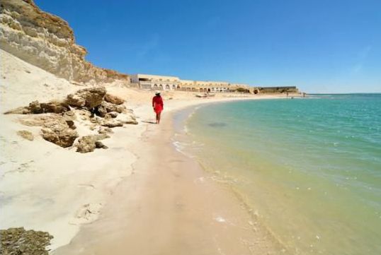 Calipau Sahara Dakhla