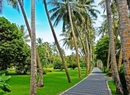 Фото Sun Island Resort