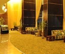 Фото Aryana Hotel