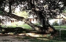 Фото Cote D`or Club