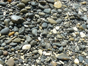 камушки на пляже