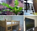 Фото HEY Backpackers