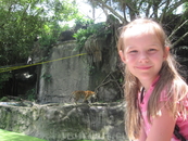 Отдельная зона в зоопарке Кхао Кхео с опасными животными.