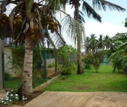 Tropical Lodge